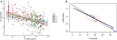 Functional and Symptomatic Individuality in the Response to Levothyroxine Treatment